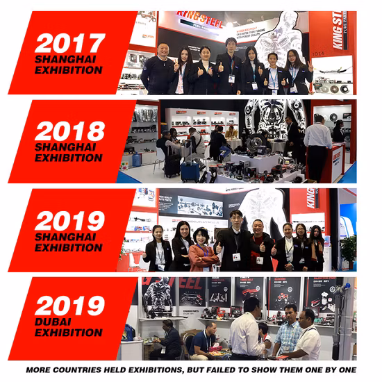 Auto Parts Arm AssyLower Control Arm for Nissan Patrol Y62 Vk56de 10