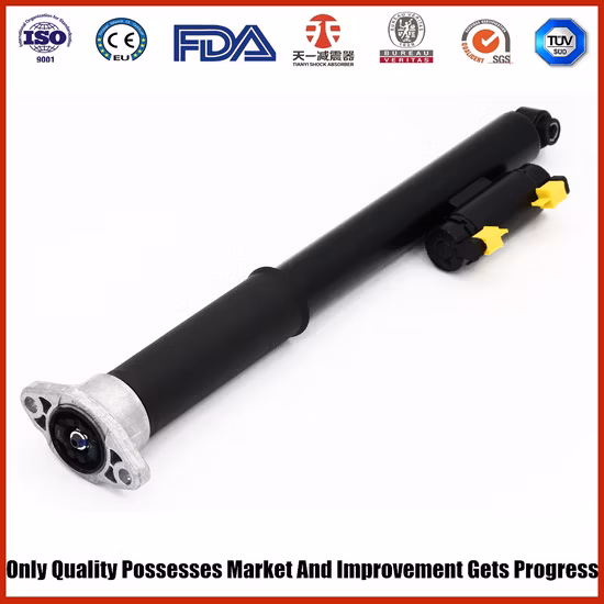 Air Shock Absober for Benz 205 Shock Absorber Rear Right