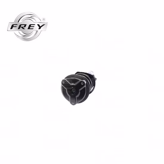 High Quality Frey Auto Parts Suspension System Shock Absorber Complete for Mercedes Benz W204 OE 2043232600